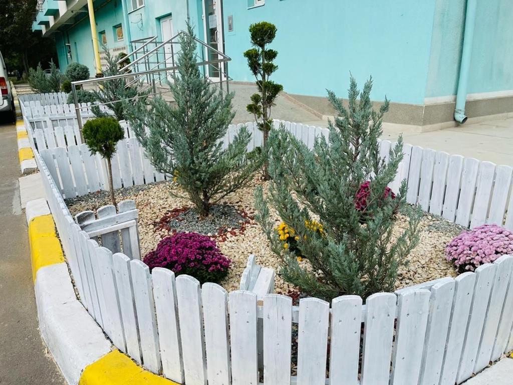 Apartament Summerland Mamaia Nord Exteriér fotografie